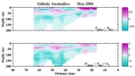 Salinity Anomalies