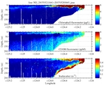 Chlorophyll, CDOM,<br>and Backscatter