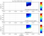 Chlorophyll, CDOM,<br>and Backscatter