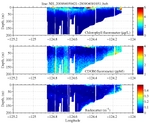 Chlorophyll, CDOM,<br>and Backscatter