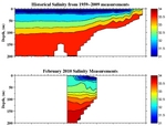 Salinity Anomalies