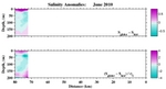 Salinity Anomalies