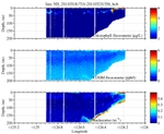 Chlorophyll, CDOM,<br>and Backscatter