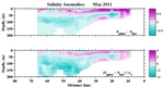 Salinity Anomalies