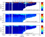 Chlorophyll, CDOM,<br>and Backscatter