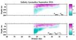 Salinity Anomalies